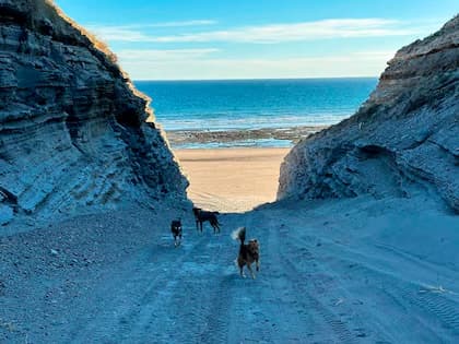 Cliff path leading to the private beach at Faro Belén